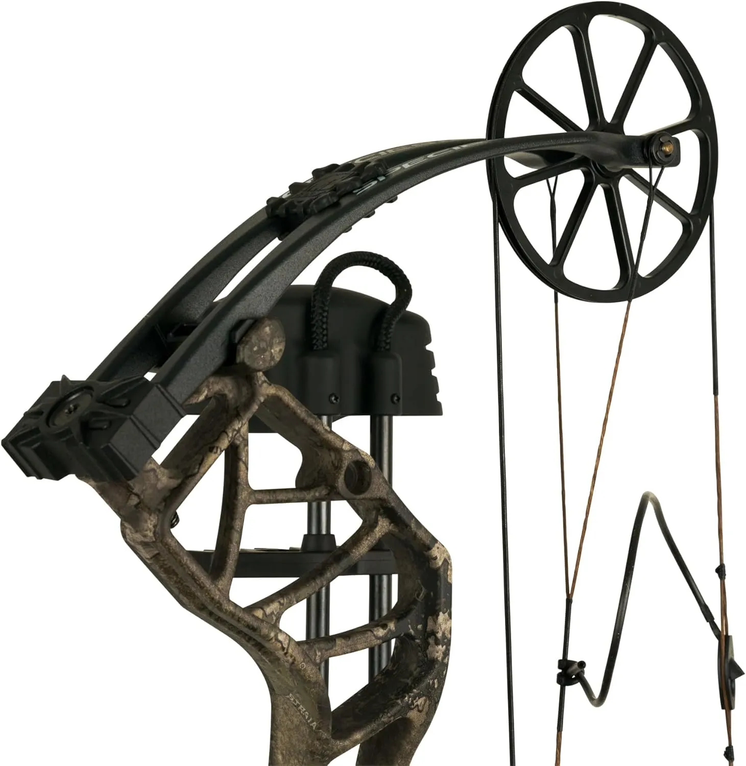 Bear Archery Species EV Ready to Hunt Adult Compound Bow Package, 23.5”- 30.5” Draw Length, 55-70 and 45-60 Lbs Draw Weight, Up to 320 FPS, Made in USA, Limited Life-Time Warranty