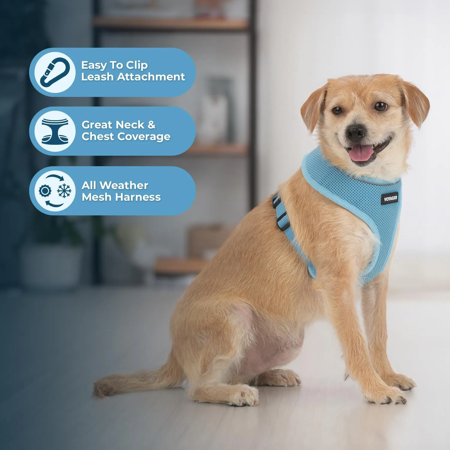 Best Pet Supplies Voyager Aerolite No Pull Mesh Dog Harness, Reflective Stitching, Breathable Harness, Adjustable for Walking, Training, Running, Heavy Duty and Durable, Baby Blue, S