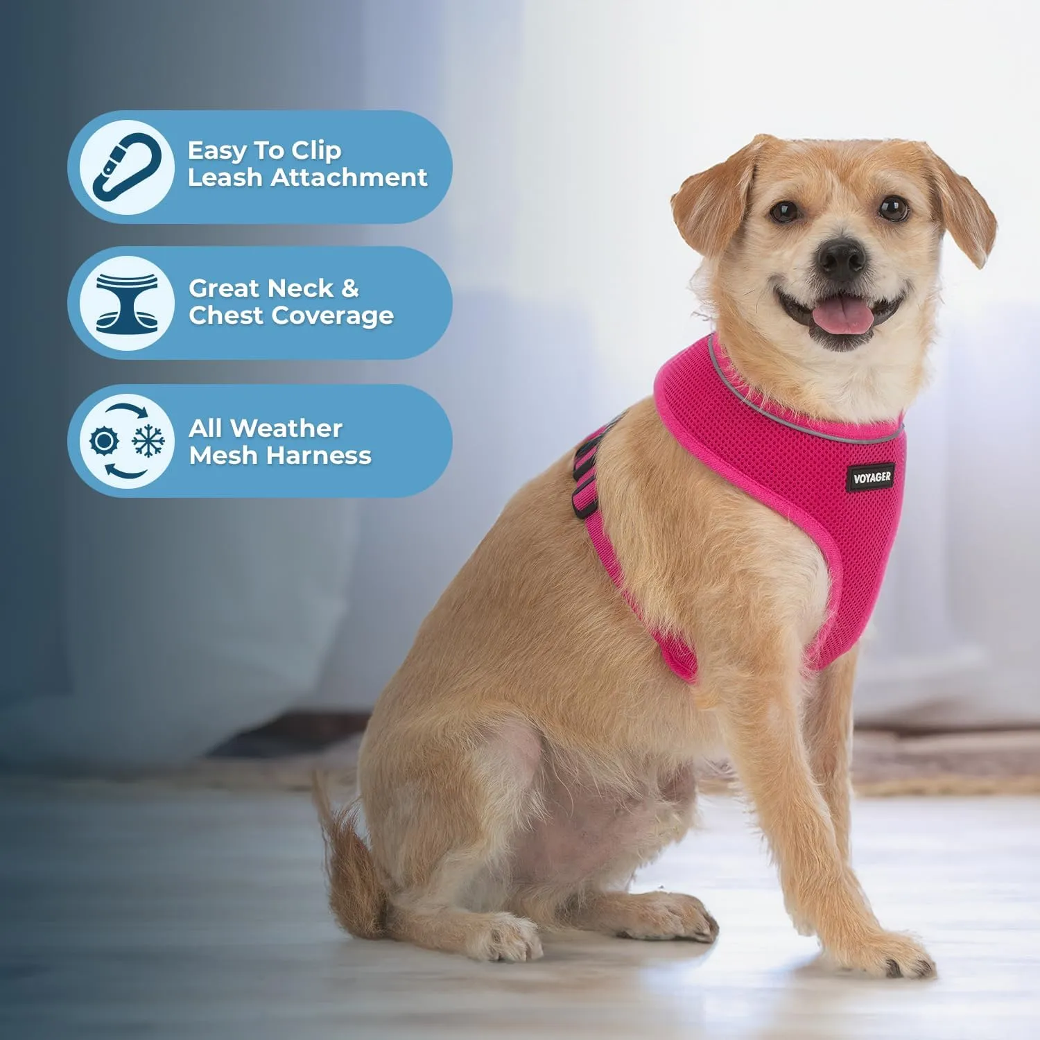 Best Pet Supplies Voyager Aerolite No Pull Mesh Dog Harness, Reflective Stitching, Breathable Harness, Adjustable for Walking, Training, Running, Heavy Duty and Durable, Fuchsia, M