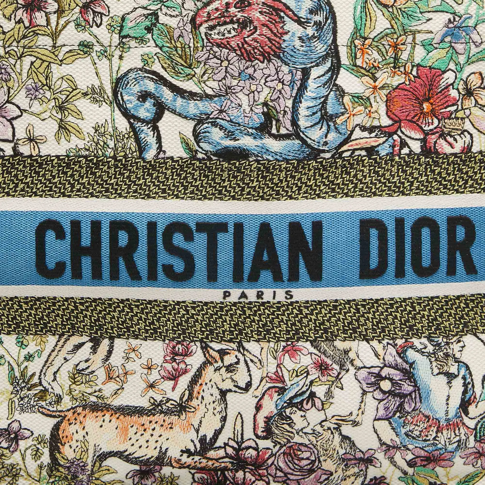 Dior color Embroidered Canvas Medium Book Tote