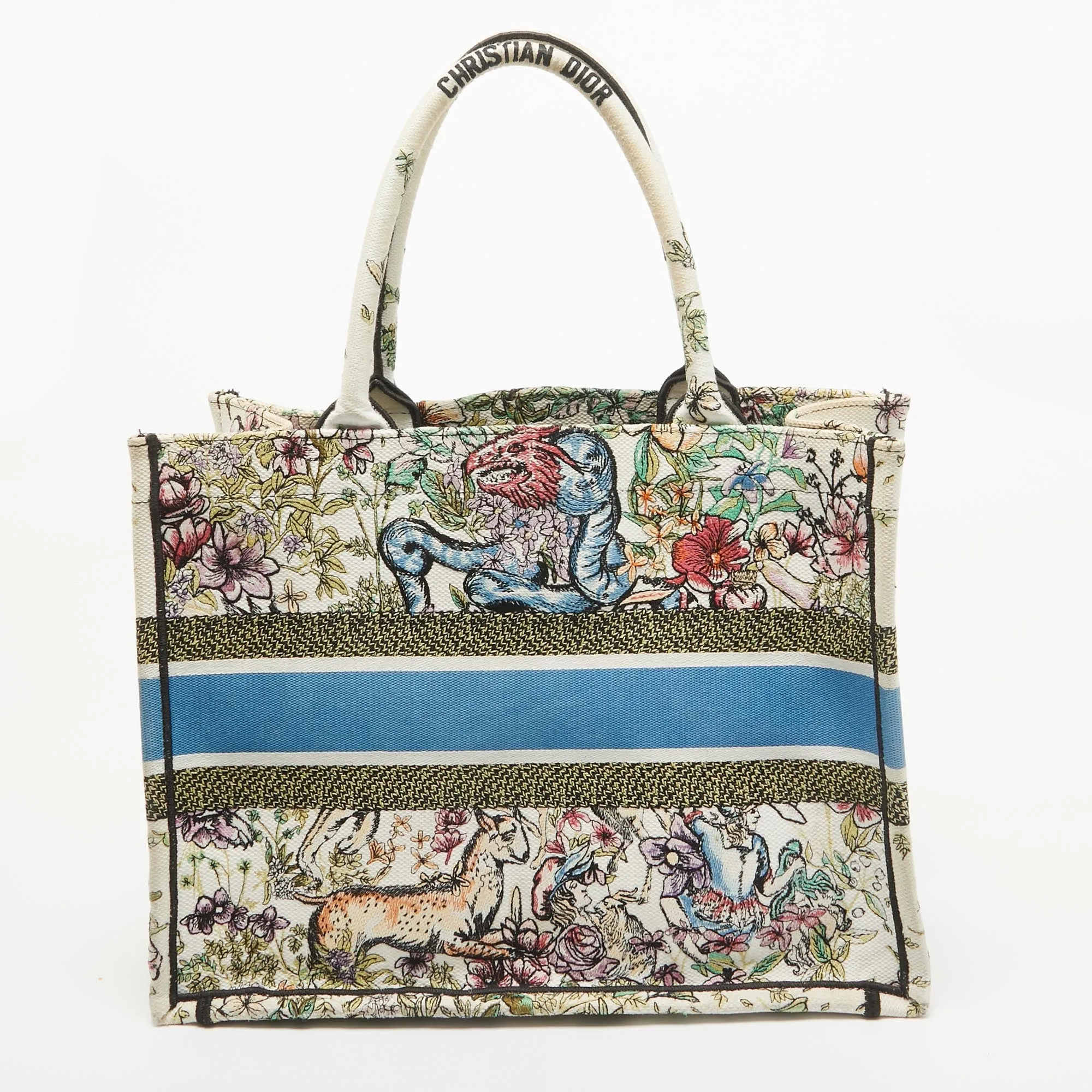 Dior color Embroidered Canvas Medium Book Tote