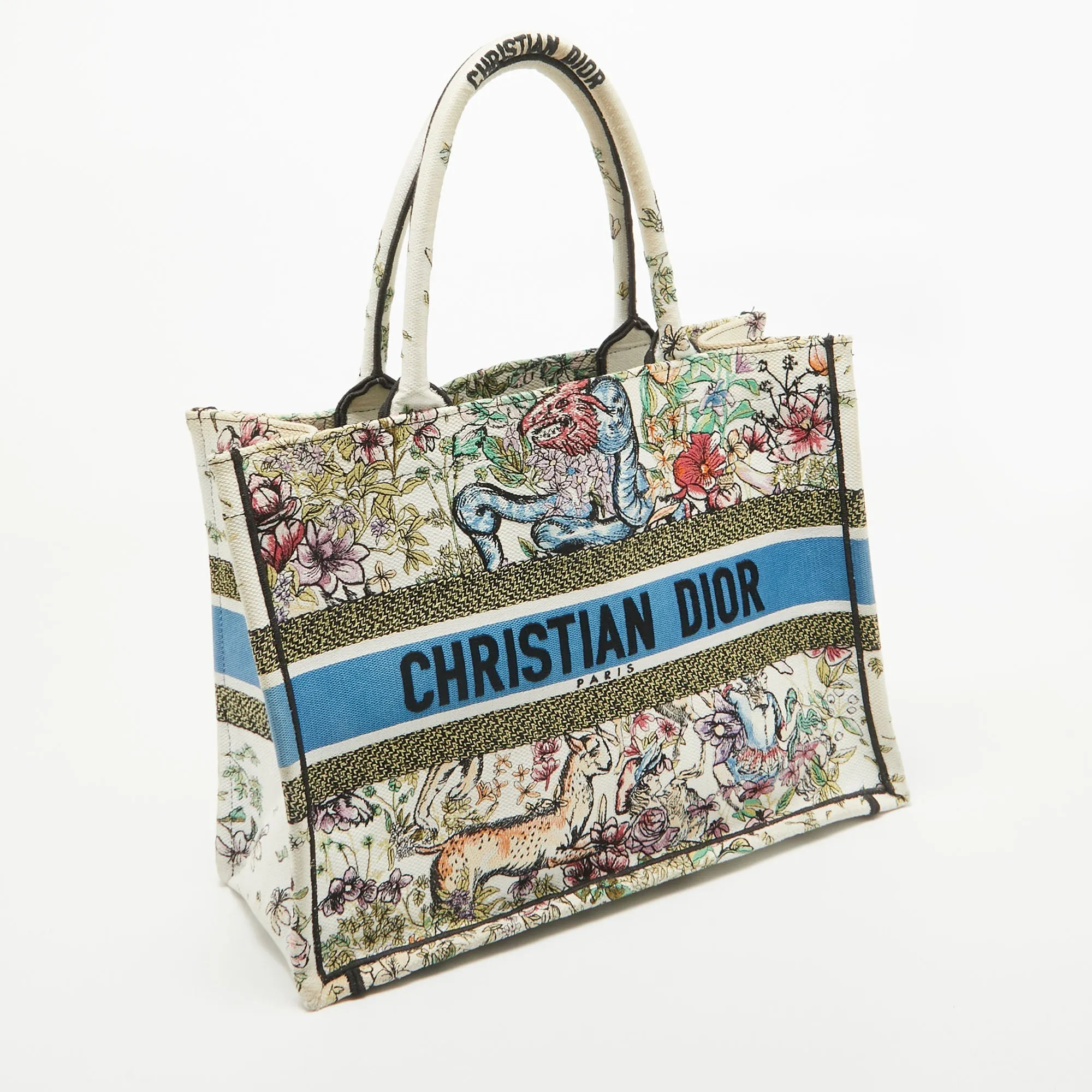 Dior color Embroidered Canvas Medium Book Tote