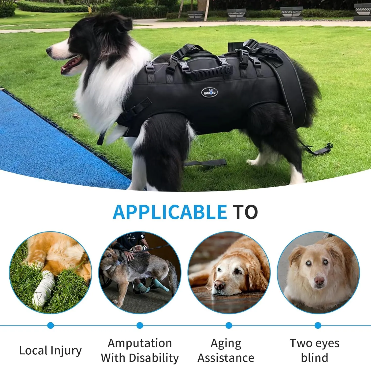 Dog Backpack Carrier for Medium Dogs Emergency Backpack, Old, Disabled, Joint Injuries, Arthritis, Rehabilitation Carrier Nail Trimming, Senior Dogs Up and Down Stairs, Cars(66-88LBS)