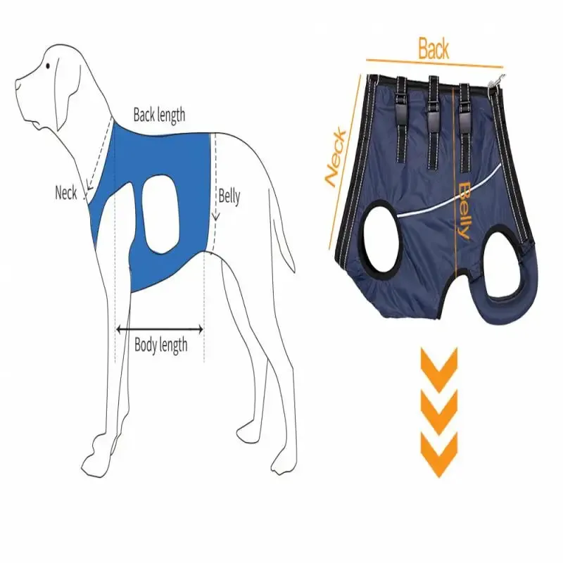 Dog Lift Harness Pet Support Rehabilitation Sling Padded for Pet Old Disabled Joint Injuries Arthritis Dog Walk Nursing Clothing