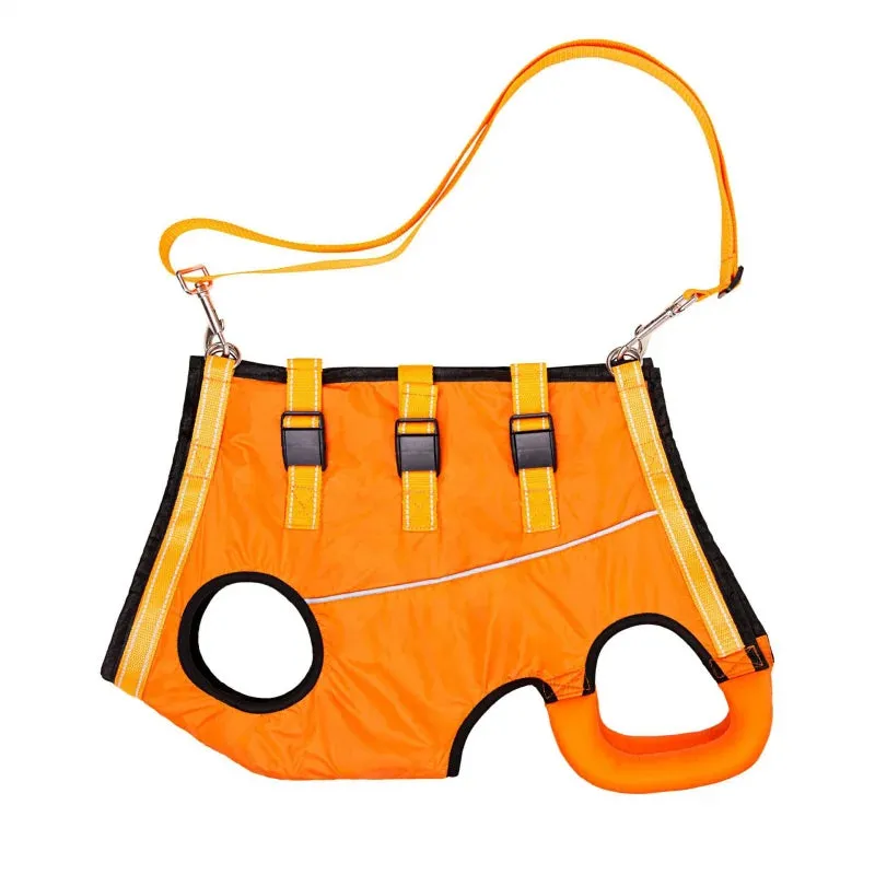 Dog Lift Harness Pet Support Rehabilitation Sling Padded for Pet Old Disabled Joint Injuries Arthritis Dog Walk Nursing Clothing