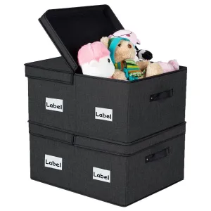 DOUBLE R BAGS Decorative Fabric Storage Boxes with Lid (Black, Pack Of 2 Large)