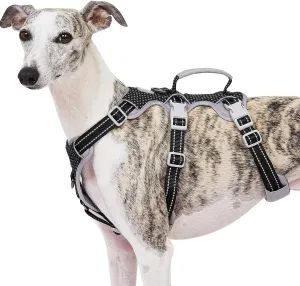 Escape Proof Harness, No Slip Dog Harness Escape Proof, Fully Reflective Harness with Handle, Breathable, Durable, Adjustable Vest for Medium Dogs Walking and Training Gear (Black, M)