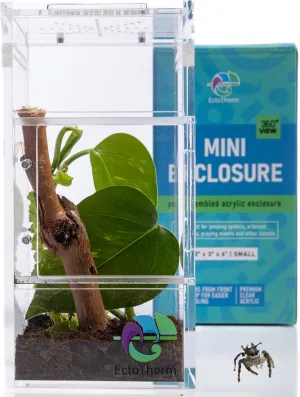 Jumping Spider Enclosure, Praying Mantis Habitat, Insect Terrarium, Bug Enclosure, Spider Cage, Jumping Spider Habitat, Spider Terrarium Kit, Praying Mantis Habitat, Arboreal Tarantula Enclosure