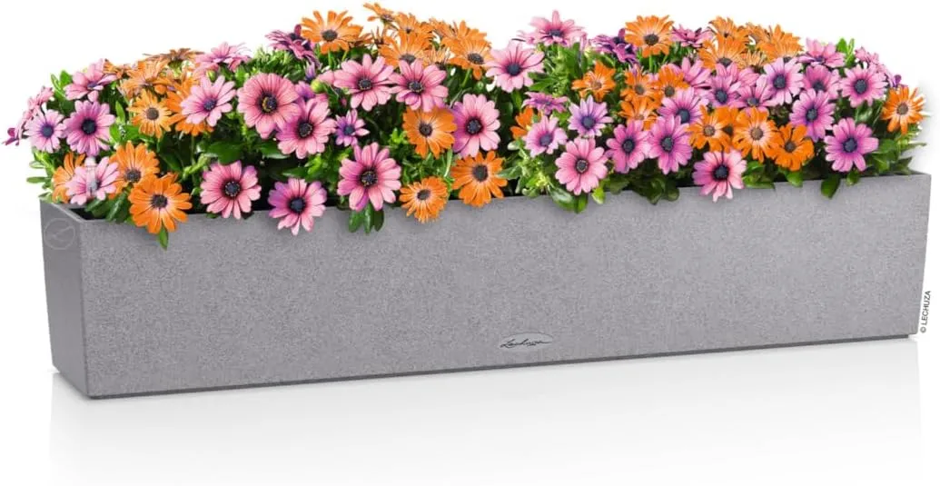 Lechuza Vessel, Stone Grey, Normal