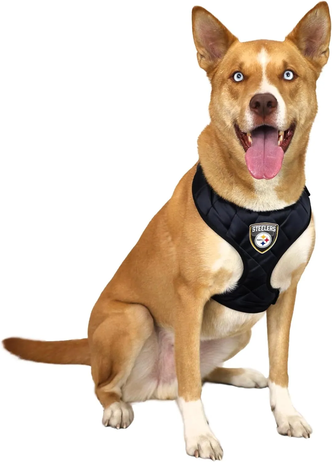 Littlearth NFL Unisex-Adult NFL Velvet Pet Harness