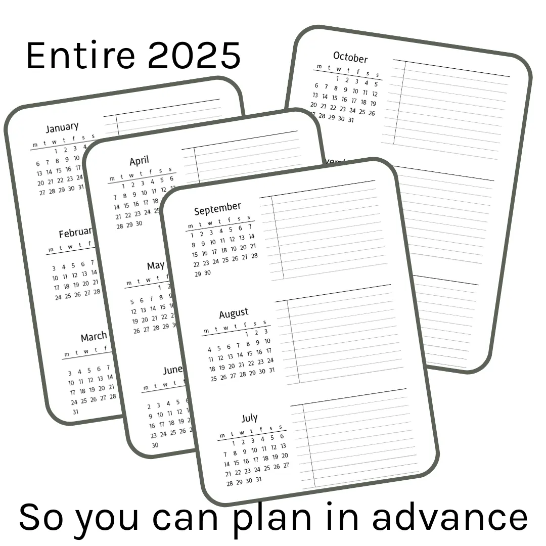 Loose Leaf A5 Planner Inserts 120gsm | 2025 Sectioned Future Log