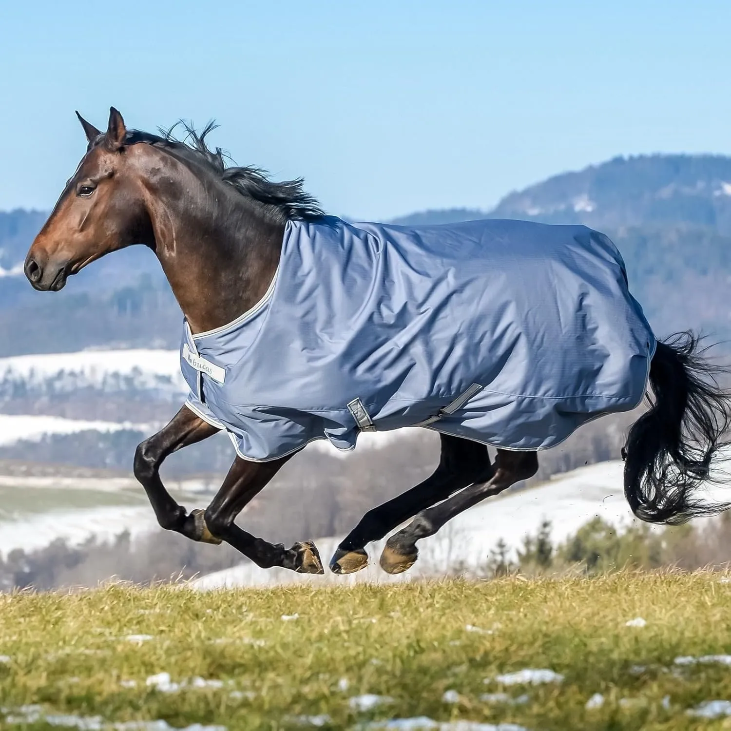 Outdoor Rug Freedom Turnout Light