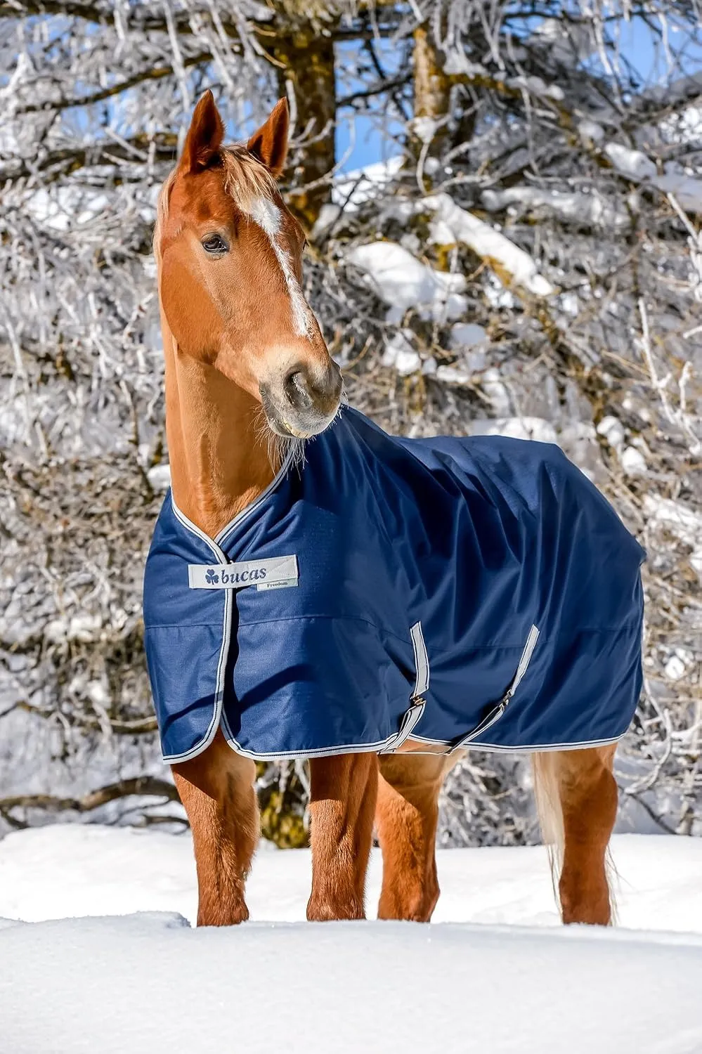 Outdoor Rug Freedom Turnout Light