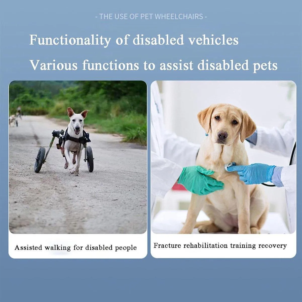Pet Supplies Recovery Leash Assistance Car for Small and Medium Disabled Pets