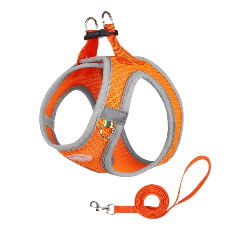 Puppy Harness Leash Set Breathable Pet Chest Strap for Small Dog Kitten Vest Dog Outdoor Walking Supplies Chihuahua TeddyHarness