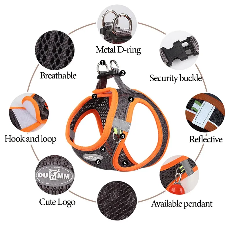 Puppy Harness Leash Set Breathable Pet Chest Strap for Small Dog Kitten Vest Dog Outdoor Walking Supplies Chihuahua TeddyHarness