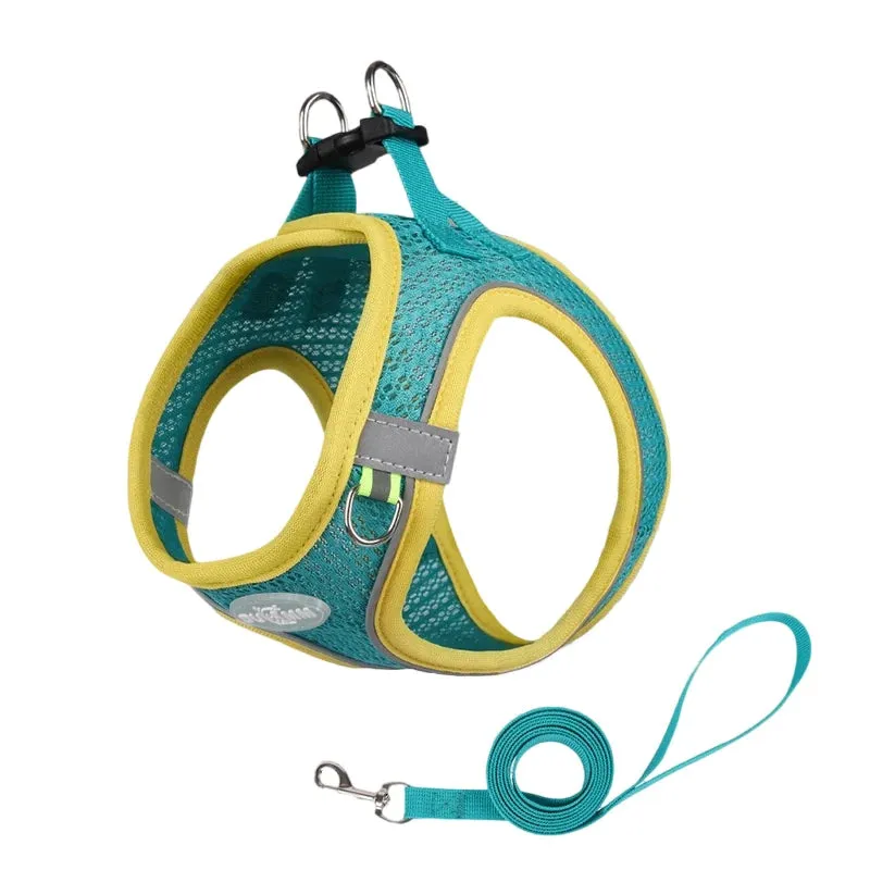 Puppy Harness Leash Set Breathable Pet Chest Strap for Small Dog Kitten Vest Dog Outdoor Walking Supplies Chihuahua TeddyHarness