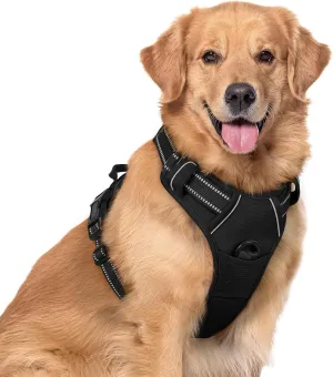 rabbitgoo Dog Harness No Pull with 2 Leash Clips, Adjustable Soft Padded, Reflective Oxford No Choke Pet Vest with Easy Control Handle for Large Dogs, Black, XL