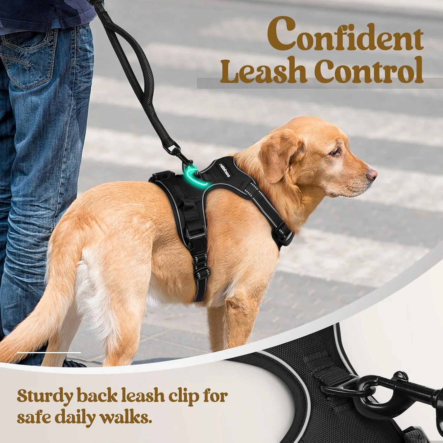 rabbitgoo Dog Harness No Pull with 2 Leash Clips, Adjustable Soft Padded, Reflective Oxford No Choke Pet Vest with Easy Control Handle for Large Dogs, Black, XL