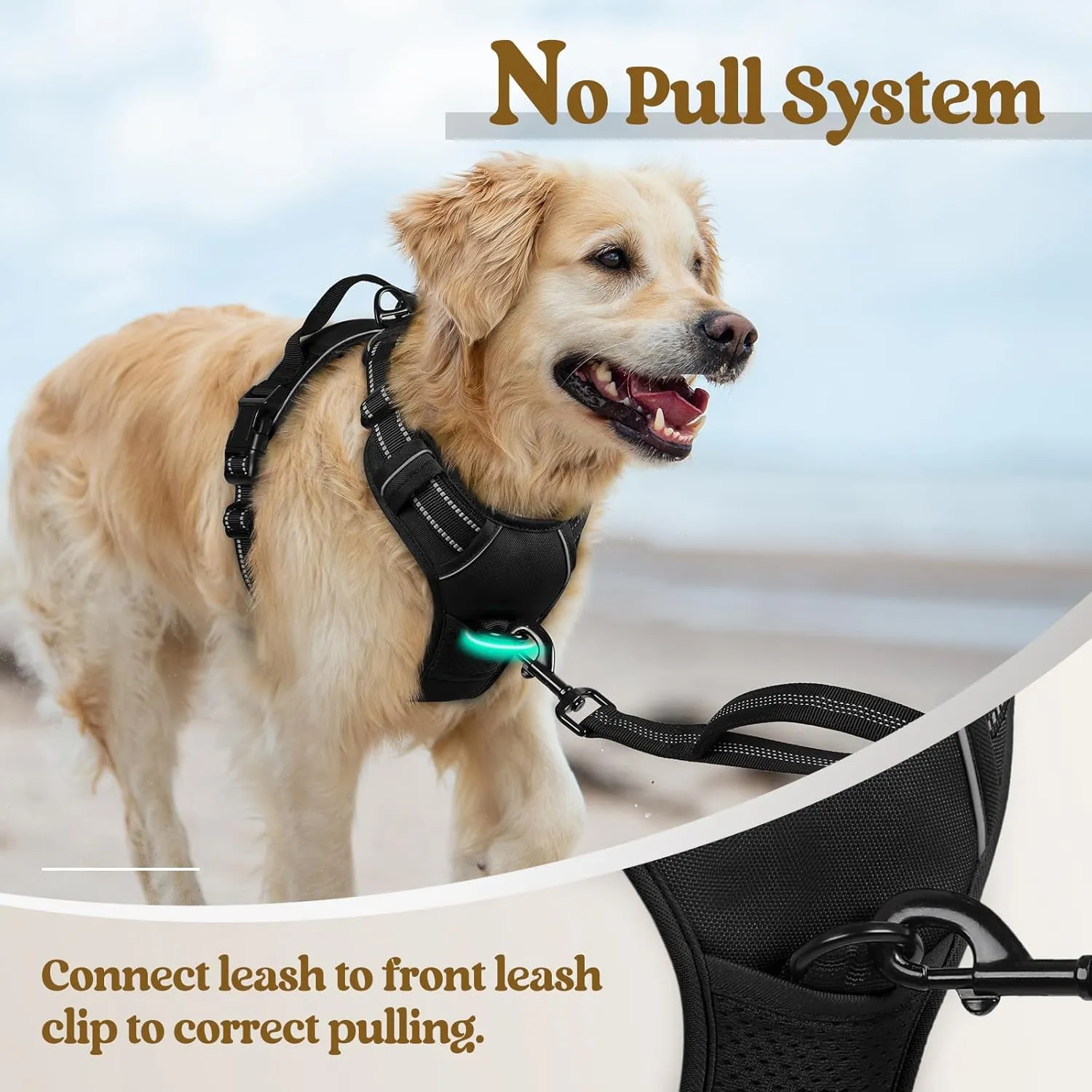rabbitgoo Dog Harness No Pull with 2 Leash Clips, Adjustable Soft Padded, Reflective Oxford No Choke Pet Vest with Easy Control Handle for Large Dogs, Black, XL