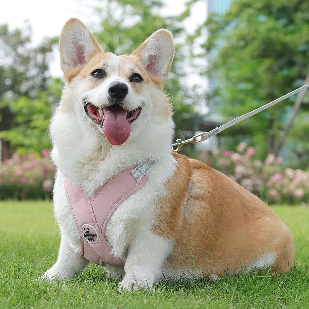 Reflective Dog Leash Vest Type Pet Harness Adjustable Chest Strap Small Dogs