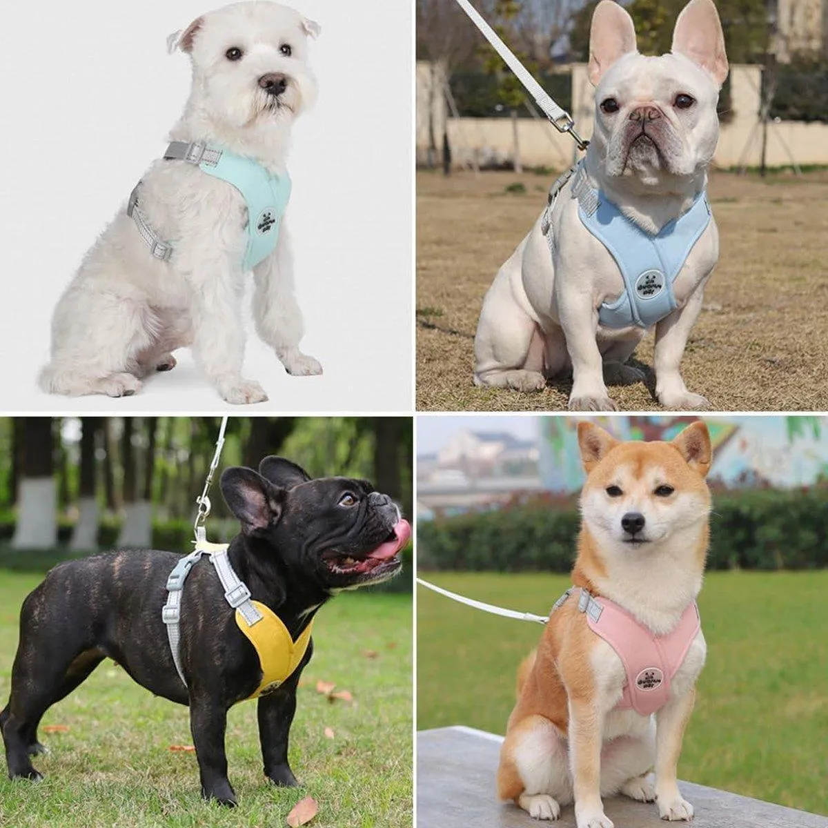 Reflective Dog Leash Vest Type Pet Harness Adjustable Chest Strap Small Dogs
