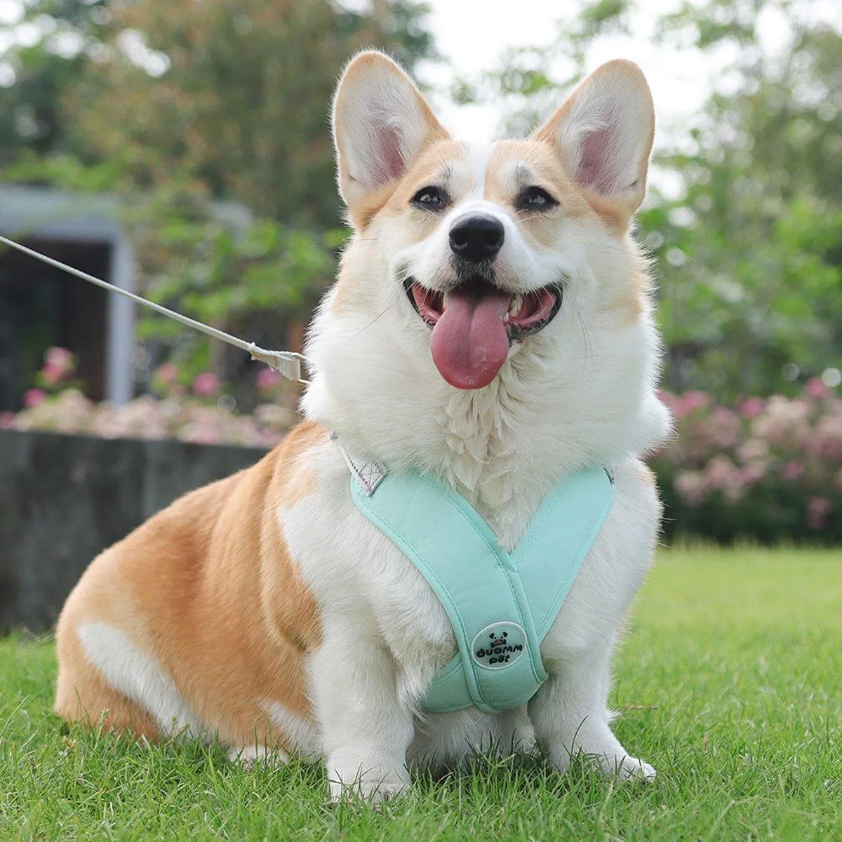 Reflective Dog Leash Vest Type Pet Harness Adjustable Chest Strap Small Dogs