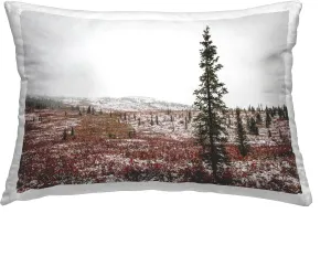Stupell Industries Snowy Mountain Valley Indoor Printed Throw Pillow, 14 x 20, Brown